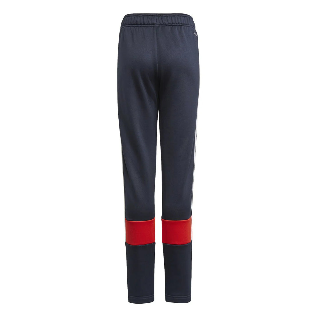 adidas  PANTS & SHORTS | SKU : GM8453