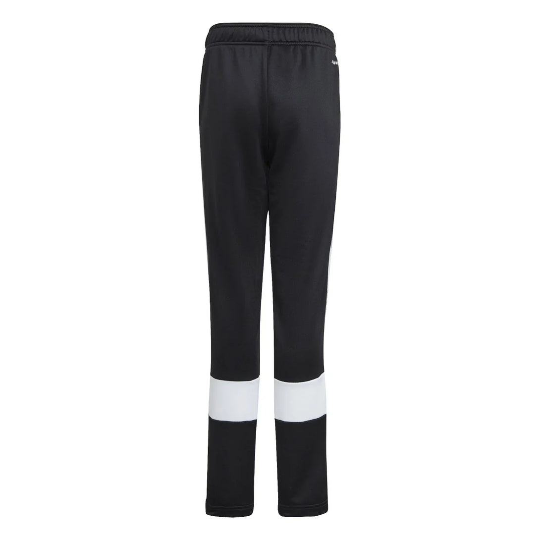 adidas  PANTS & SHORTS | SKU : GM8454