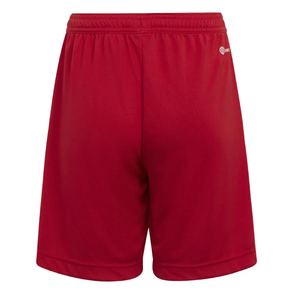 adidas FOOTBALL SHORTS | SKU: H57501