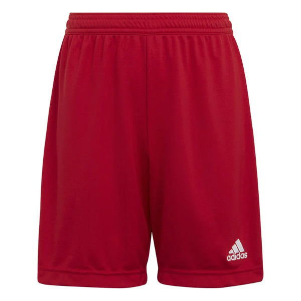 adidas FOOTBALL SHORTS | SKU: H57501