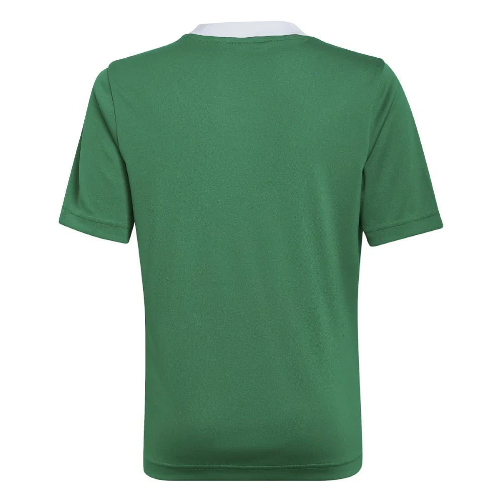 adidas FOOTBALL TOPS & T SHIRTS | SKU: HI2126
