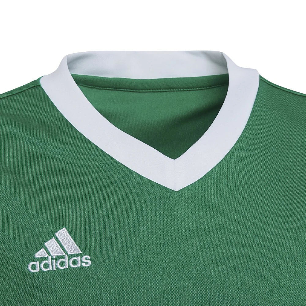 adidas FOOTBALL TOPS & T SHIRTS | SKU: HI2126