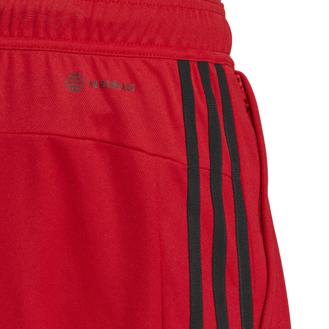 IB8247 | ADIDAS MEN SHORTS